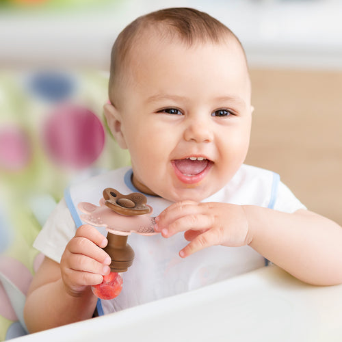 Flower Fresh Food Feeder and Teether & Replacement Pouch Combo