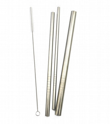 Stainless Steel Straws (3pcs)