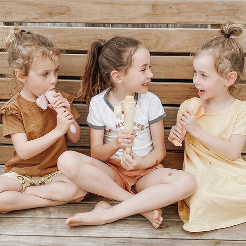 Silicone Ice Pop Mould Set (4 pcs)