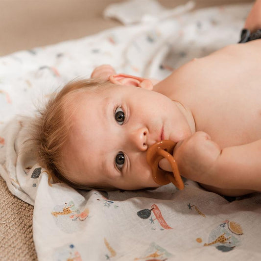 Silicone Pacifier (3 months+)