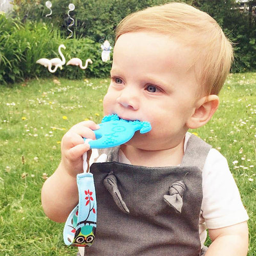 Dummy and Teether Holder