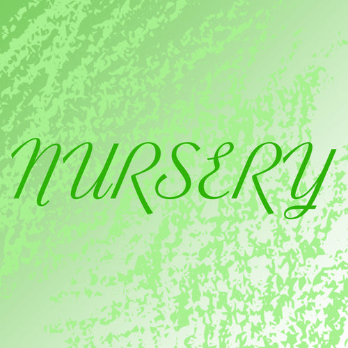 Creating the Perfect Nursery