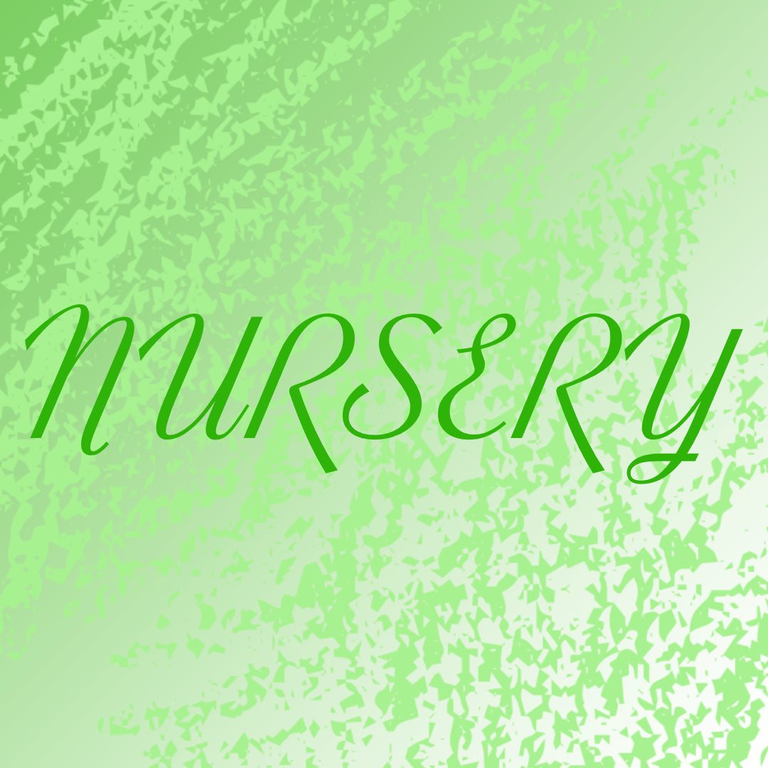 Creating the Perfect Nursery