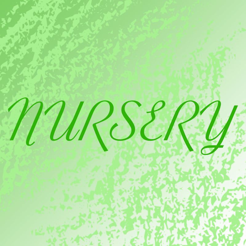 Creating the Perfect Nursery