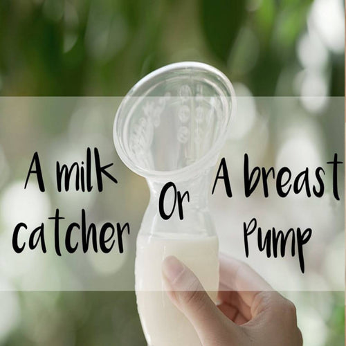 Haakaa Pro Tips Series, Part I: Some Facts About the Haakaa Breast Pump