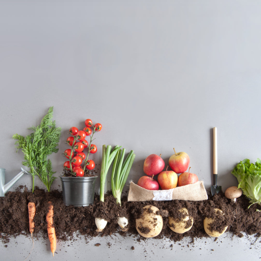 A range of fruit and vegetables displayed in soil or in boxes