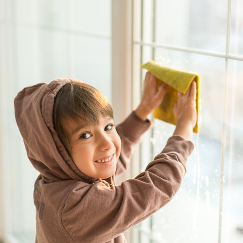 Must-Have Household Cleaning Products