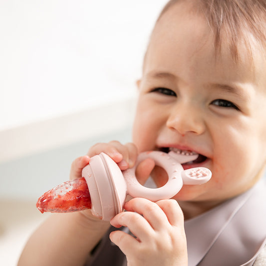 Fresh Food Feeder Mini Combo