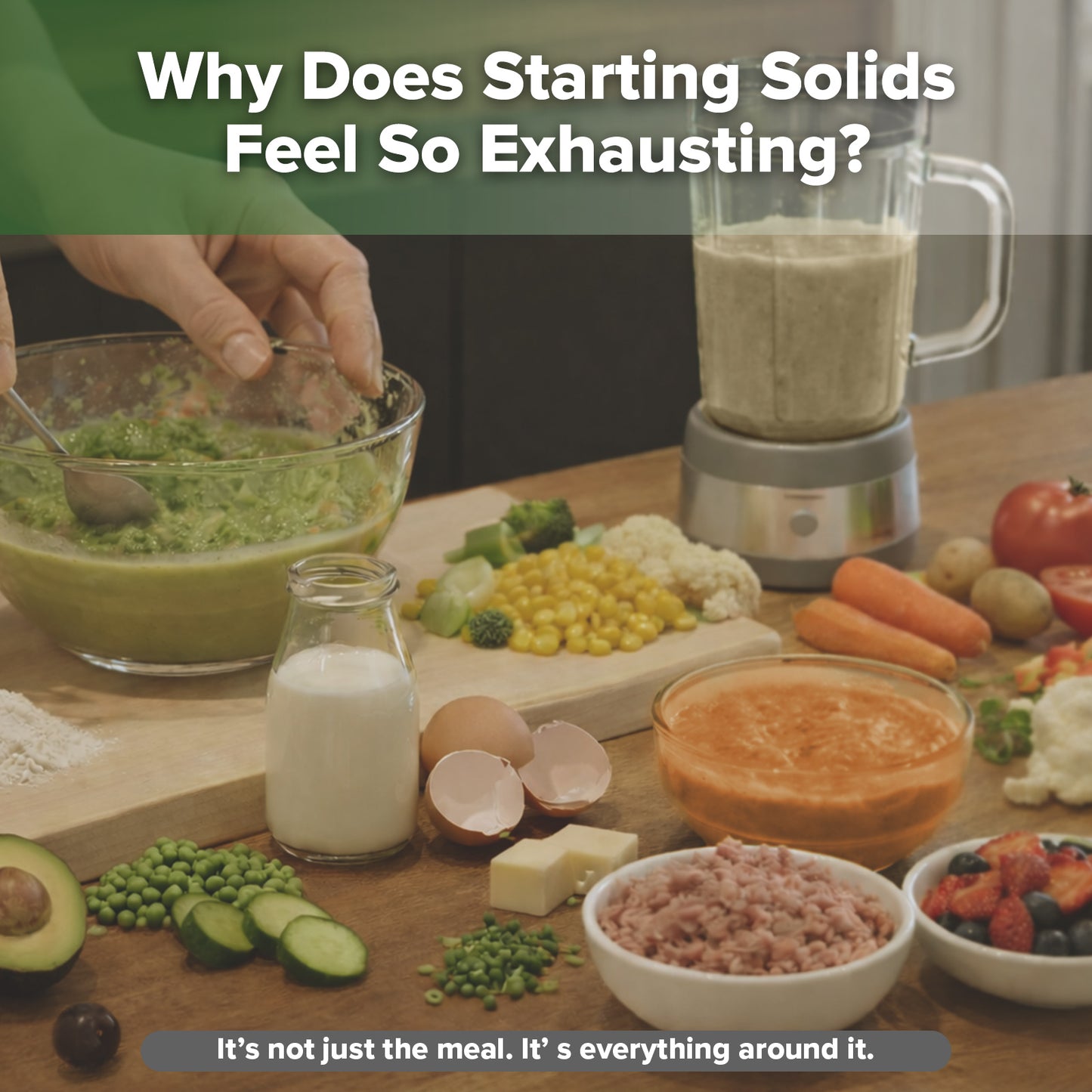 Flexi-Prep, Store & Feed Combo