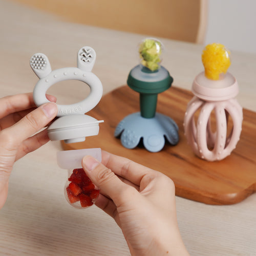 Fresh Food Feeder One-piece Replacement Pouch - L